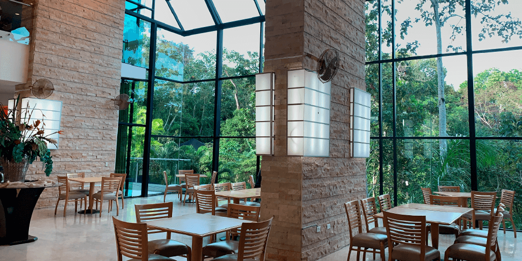 summit rainforest 6